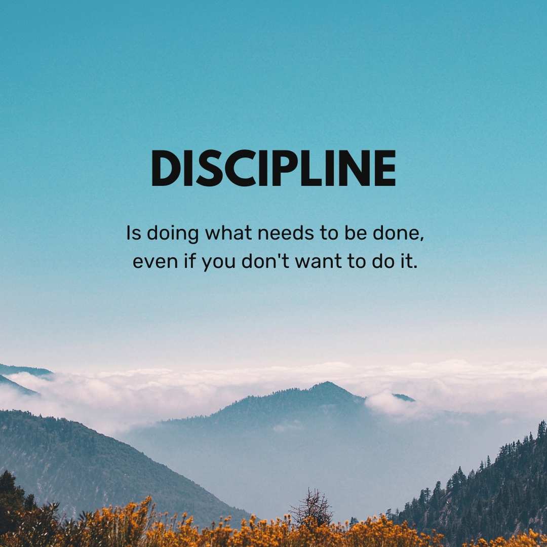 TomsTitans's tweet photo. Motivation might get you started, but discipline keeps you going. That’s when growth happens! https://t.co/slruDJyM1h