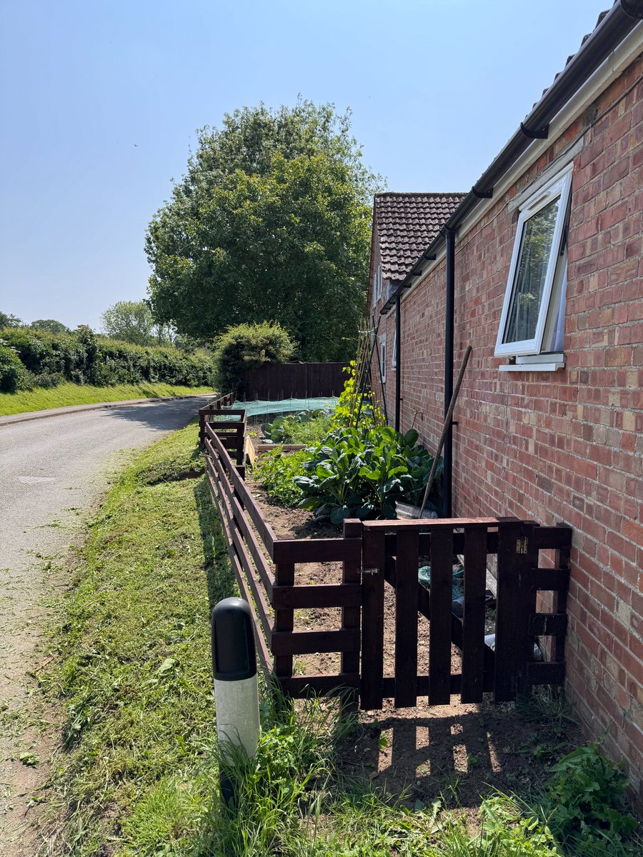 Our favourite little village corner garden is coming along very nicely! Great use of space. Is part of your set-up a great use of space? Show us! Drop a photo in the comments 👌

#kitchengarden #growing #growyourown #gardening #plot #allotment #growyourownfood #allotmentsuk #home