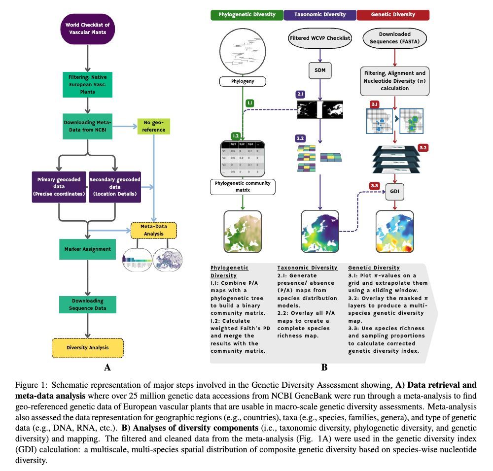 strnr's tweet image. Unlocking the Forgotten Dimension of Biodiversity: A Scalable Genetic Diversity Index for Multi-Species Analysis biorxiv.org/content/10.110… 🧬🖥️🧪 #Rstats github.com/piyalkarum/GDI github.com/piyalkarum/gSo… #consgen