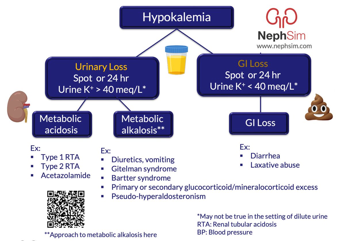 Neph_SIM's tweet image. Celebrating 7⃣ years of #NephSIM!
nephsim.com
📈1.35 million views
🫘@nkf #NephSIM Nephrons Y5 +Prelim Outcomes @KidneyMed
kidneymedicinejournal.org/article/S2590-…
⚡️ 55 cases, 27 infographics
🎨Comics @Momen_Abbasi
@ssfarouk @RachelHilburg @Nephro_Sparks #Nephrology