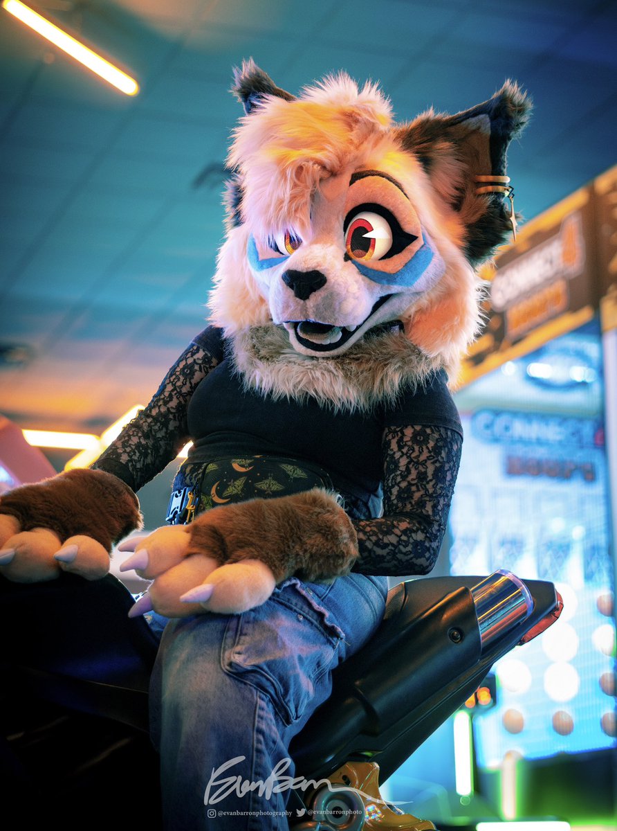 anyone coming for a ride with this kitty? 🐱 💜 (📸: <a href="/evanbarronphoto/">Evan Barron 🔜 TFF</a>)