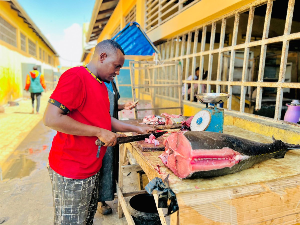Ministry Of Fisheries & Blue Economy Jubaland (@mofbejl) on Twitter photo H.E. <a href="/saaidhassan21/">Ahmed Hassan Omar</a> , Minister of <a href="/Mofbejl/">Ministry Of Fisheries & Blue Economy Jubaland</a> , visited Kismayo Fish Market to assess production, inspect support tools, and engage with traders.
"Empowering our blue economy starts with our people."
#Jubaland #Fisheries #BlueEconomy H.E. <a href="/saaidhassan21/">Ahmed Hassan Omar</a> , Minister of <a href="/Mofbejl/">Ministry Of Fisheries & Blue Economy Jubaland</a> , visited Kismayo Fish Market to assess production, inspect support tools, and engage with traders.
"Empowering our blue economy starts with our people."
#Jubaland #Fisheries #BlueEconomy