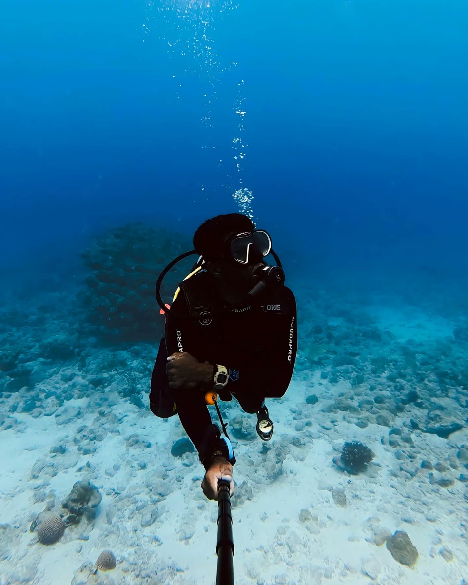 scubadivingyard's tweet image. Presents a fascinating mix of natural
phenomena and biological activity🐋🪼

.
.
.

#underwaterphotography #underwater #scubadiving #diving #scuba #ocean #underwaterworld #uwphotography #padi #dive