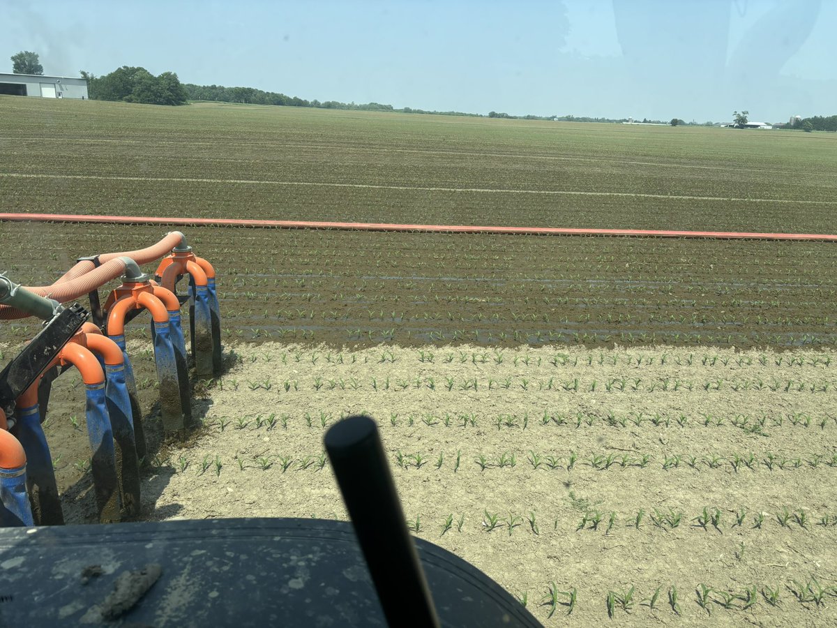 Gerard Steenbeek tweet media