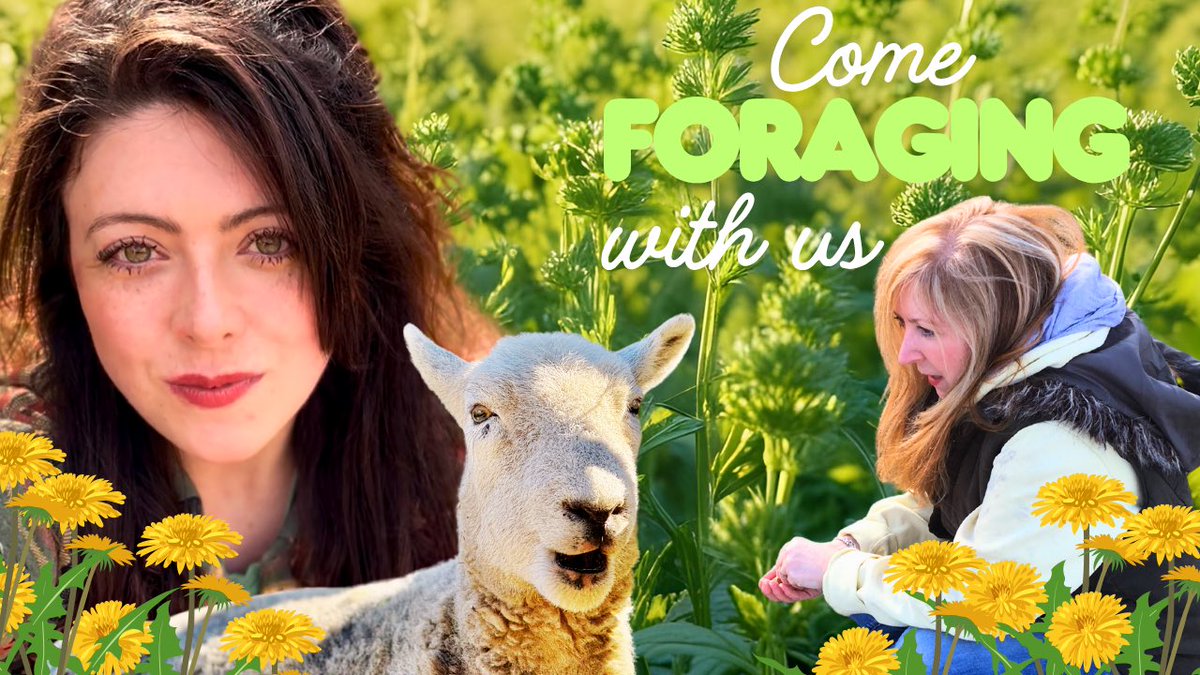 NEW YOUTUBE VIDEO OUT NOW:
youtu.be/6VPVYppcsw4?si… 🐏🐎

Please watch; leave a comment to help boost the video &amp; please subscribe if you enjoy! ❤️ We’re 3 subscribers from 500! Hope you enjoy ✨

#horses #sheep #rescueanimals #ponyhour #shopindie #MHHSBD #womaninbizhour #UKgiftAM