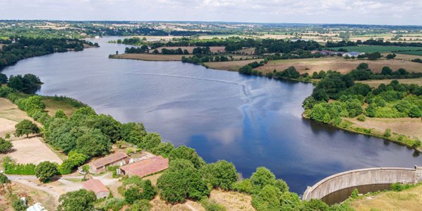 Qui se souvient de l’Été Cigale ?
En juin 2024, j’ai mis en place un Comité de pilotage chargé d’étudier la réhabilitation du Théâtre de Verdure à Ribou, afin que les Choletais y revivent de grands moments artistiques, et que les jeunes de notre territoire puissent exprimer leurs