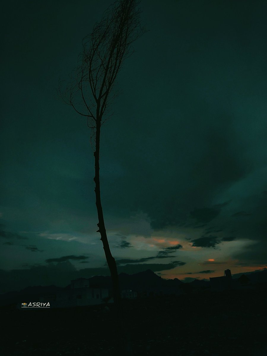 ما الشوقُ مُقتَنِعاً مِني بِذا الكمَدِ
حتى أَكون بِلا قَلبٍ ولا كبِدِ
ولا الديارُ الَّتي كان الحَبيبُ بِها
تَشكو إِليَّ ولا أَشكو إِلى أَحَدِ
مازال كُل هزيمِ الودقِ يُنحِلُها
والسُقمُ يُنحِلُني حتّى حكت جسدي
وكُلما فاض دمعي غاض مُصطَبري
كأَن ما سال من جفنيَّ من جلَدي 
لــ المتنبي