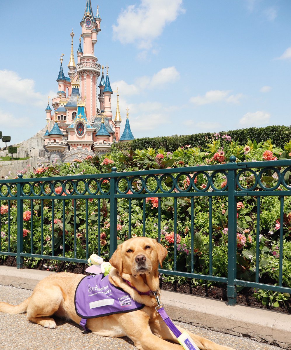 Access Your Life tweet media