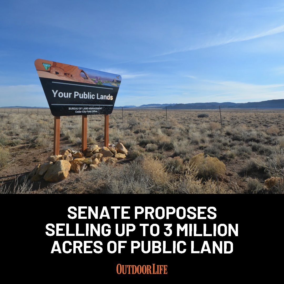 The Republican majority on the Senate Energy and Natural Resources Committee is calling for the U.S. government to sell up to three million acres of public land in order to hit revenue goals in the federal budget: trib.al/hh93TsM