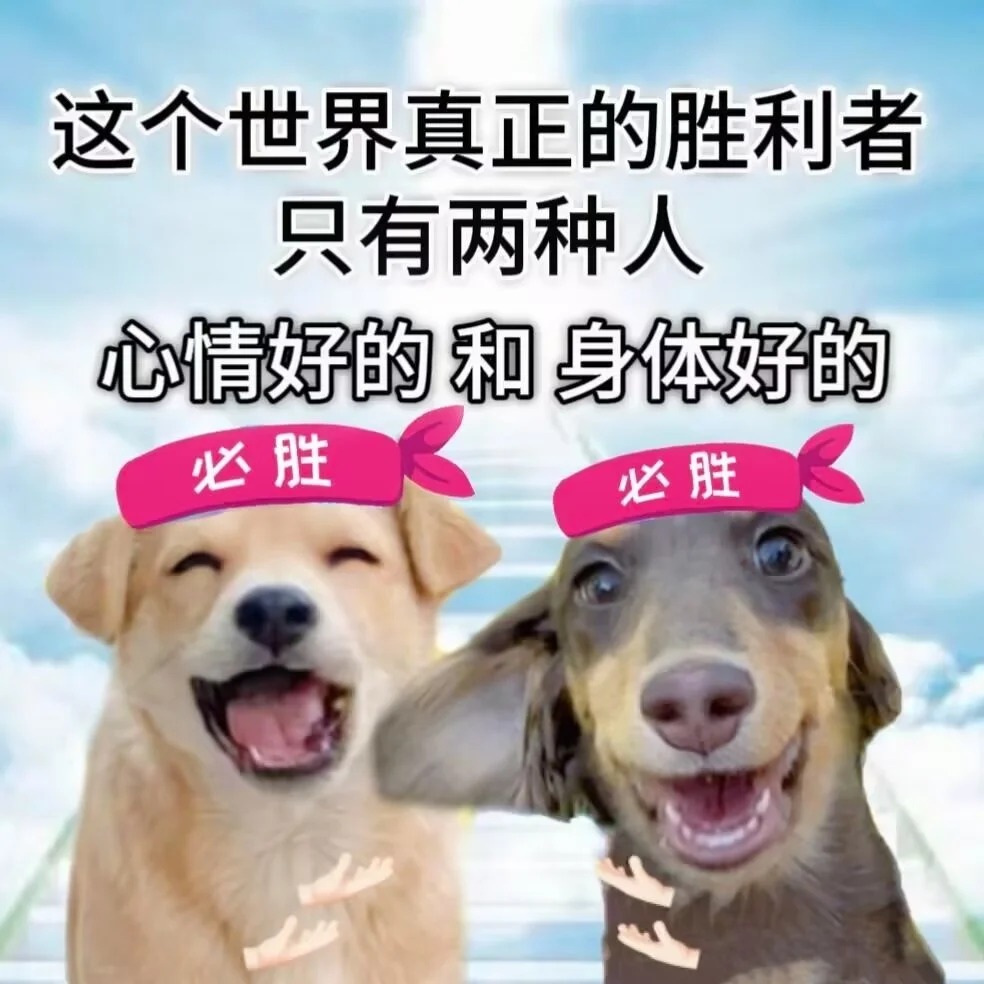 BolanYangdadan's tweet photo. 热爱每一天☺️ https://t.co/MXGQhne8Cu