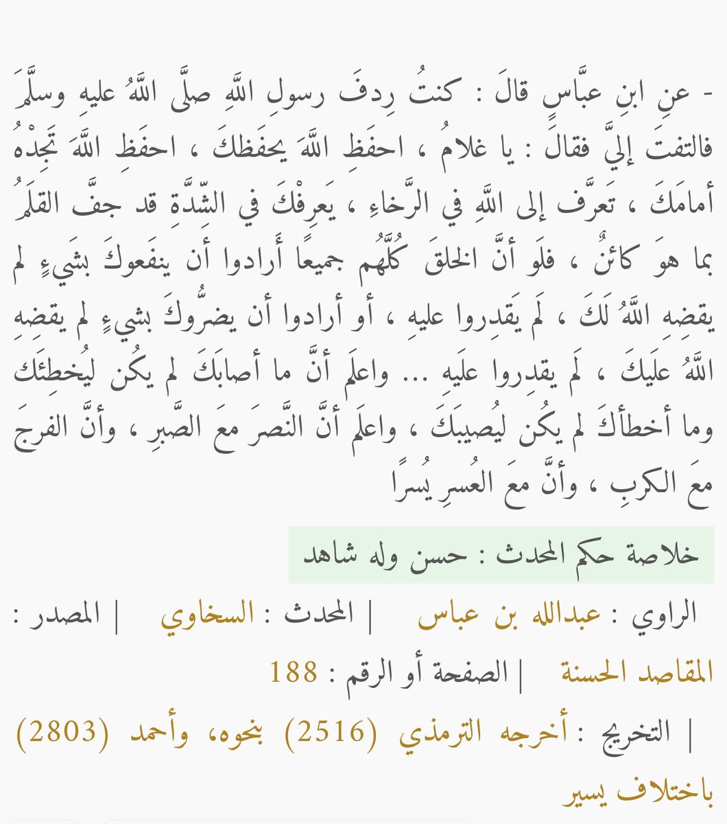 Amal Afrah (@molz35) on Twitter photo 