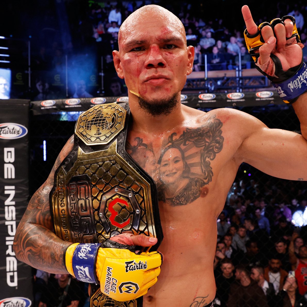 Nolan King tweet media