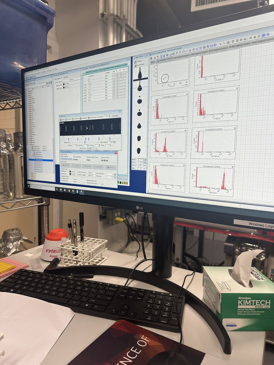 Midweek momentum in the lab: isolating &amp; culturing T cells from KRAS-mutant pancreatic tumors 🧪

These cells will power our co-culture assays to dissect T cell-mediated tumor killing. Flow cytometry underway.
#GIonc #KRAS #TumorImmunology #LabLife #CancerResearch