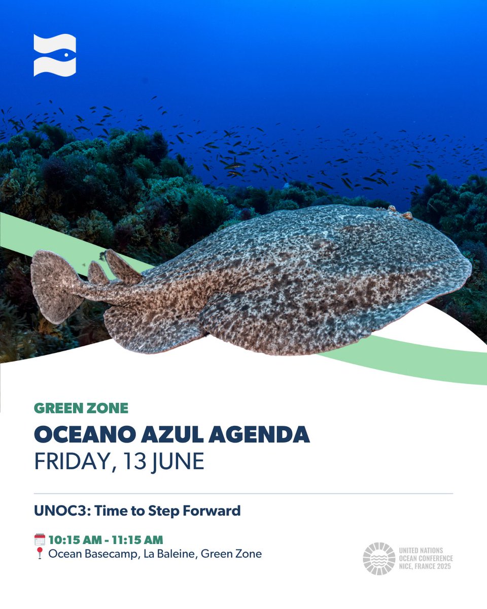 Oceano Azul Foundation (@oceanoazulf) on Twitter photo 🌊🗓️#UNOC3 𝗢𝗰𝗲𝗮𝗻𝗼 𝗔𝘇𝘂𝗹 𝗦𝗰𝗵𝗲𝗱𝘂𝗹𝗲: 𝟭𝟯 𝗝𝘂𝗻𝗲
Oceano Azul Foundation is proud to be at UNOC3, contributing to shape the future of ocean action.
🌍Here is what we are up to today — join us!
<a href="/UNOceanDecade/">UN Ocean Decade</a> #UNOC2025 #OceanAction #FromScienceToPolicy #BluePlanet 🌊🗓️#UNOC3 𝗢𝗰𝗲𝗮𝗻𝗼 𝗔𝘇𝘂𝗹 𝗦𝗰𝗵𝗲𝗱𝘂𝗹𝗲: 𝟭𝟯 𝗝𝘂𝗻𝗲
Oceano Azul Foundation is proud to be at UNOC3, contributing to shape the future of ocean action.
🌍Here is what we are up to today — join us!
<a href="/UNOceanDecade/">UN Ocean Decade</a> #UNOC2025 #OceanAction #FromScienceToPolicy #BluePlanet