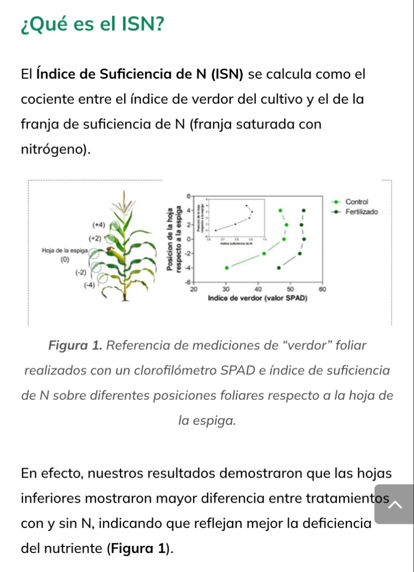Maltese_Nico's tweet image. Nota derivada del artículo recientemente publicado en FCR donde evaluamos perfiles de verdor en maíz 🌽
📝 Link: horizonteadigital.com/aplicacion-tar…