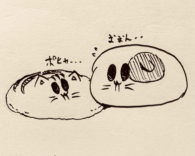 おは猫さん🐱🐯 