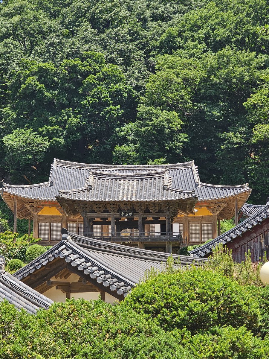 skynsjeong's tweet image. 부석사에서 담은 풍경 중 가장 가슴 뛰게 만든 것은 무량수전과 안양류가 한 장면으로 포착되었을 때다. 어느 전각 아래서 무심코 무량수전을 바라보았는데 그 아래 안양루와의 조화가 세밀한 과학적 설계가 아니면 나올 수 없는 놀라운 작품이었기 때문이다.