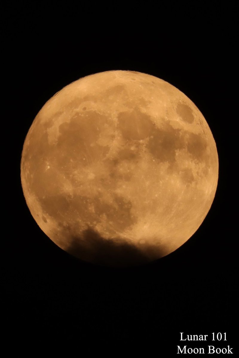 🍓Strawberry Moon 
June 10th 2025 11:41 pm

Do you love ❤️ nature ?

Yes or No