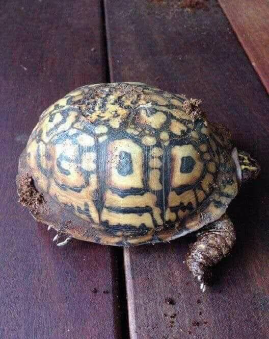 Atheists: "There is no evidence for God."

God: