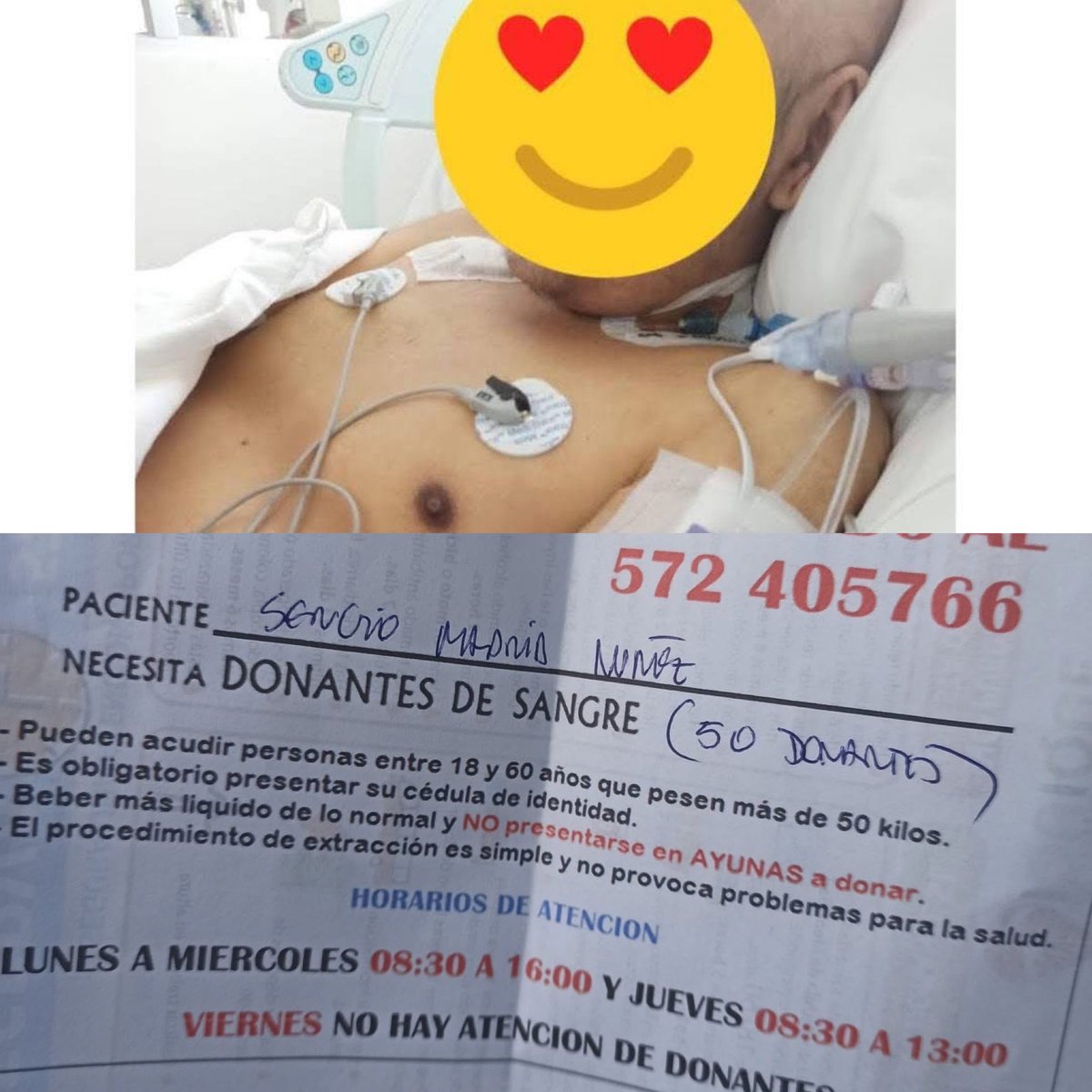 Vianka Harder tweet media