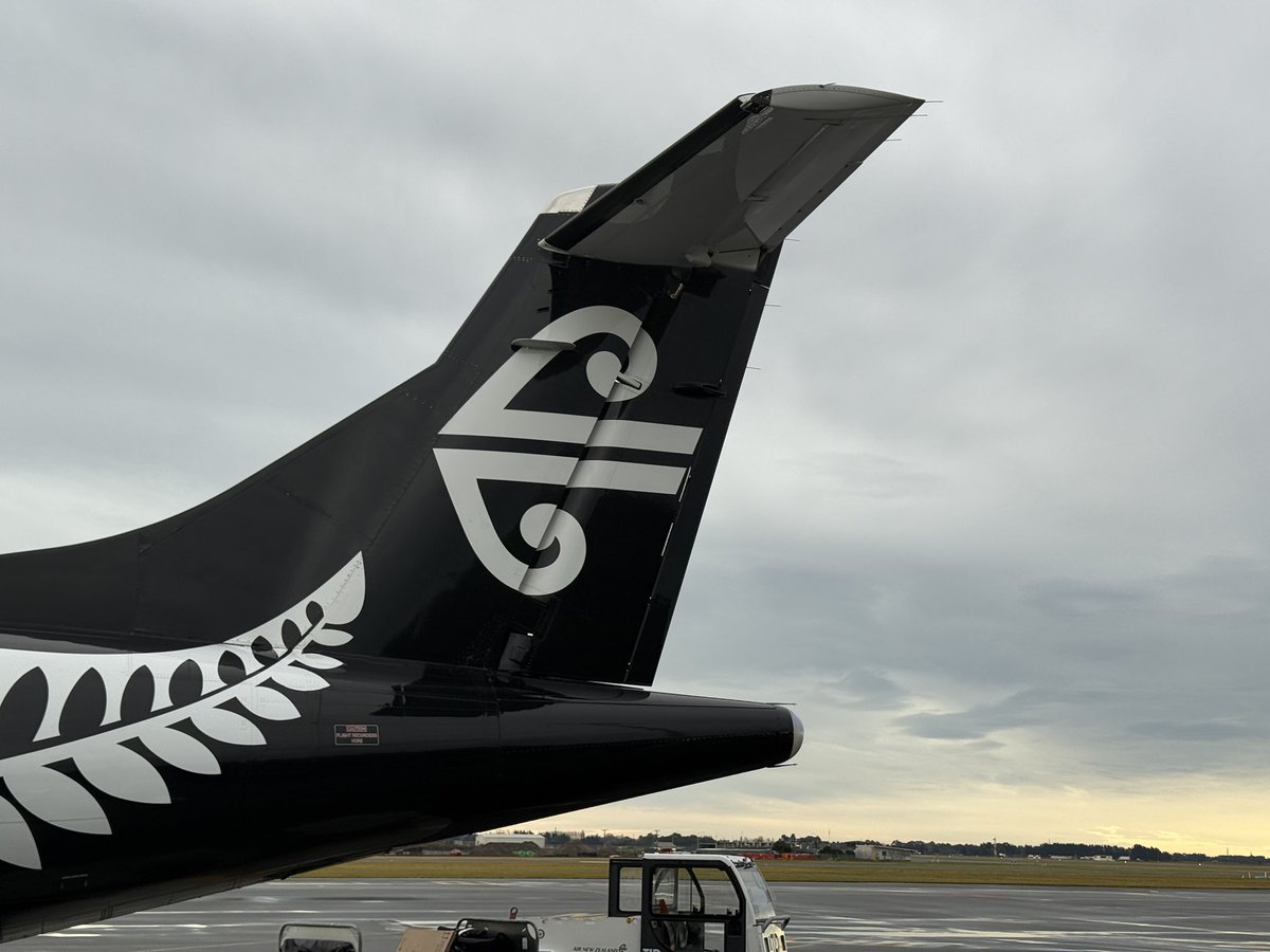 Andrea Stewart tweet media