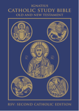 MrC_aLayMan's tweet photo. Essential Pillars of #Catholic Teaching and Practice: Modern

✝️) Ignatius Catholic Study #Bible: Old and New Testaments
📘) 92' Catechism of the Catholic Church, Ascension Edition
📖) 69' Roman Missal (Pope Paul VI) [02', 08' rev.]
⚖️) 83' Code of Canon Law (Pope J.P. II)