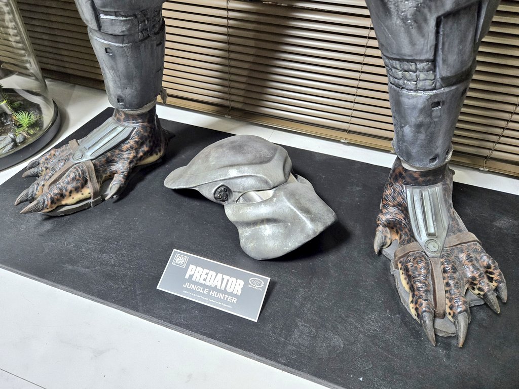 HAPPY PREDATOR DAY🎉

38年前の今日、映画｢PREDATOR｣が公開された🎬
という訳で当時SFXを担当したスタン・ウィンストン・スタジオのオリジナルモールドからプルされたジャングルハンターの登場だ✨
やっぱりプレデターって良いよな⤴😍
"血が出るなら殺せるはずだ！"
#PredatorDay
#プレデターデー