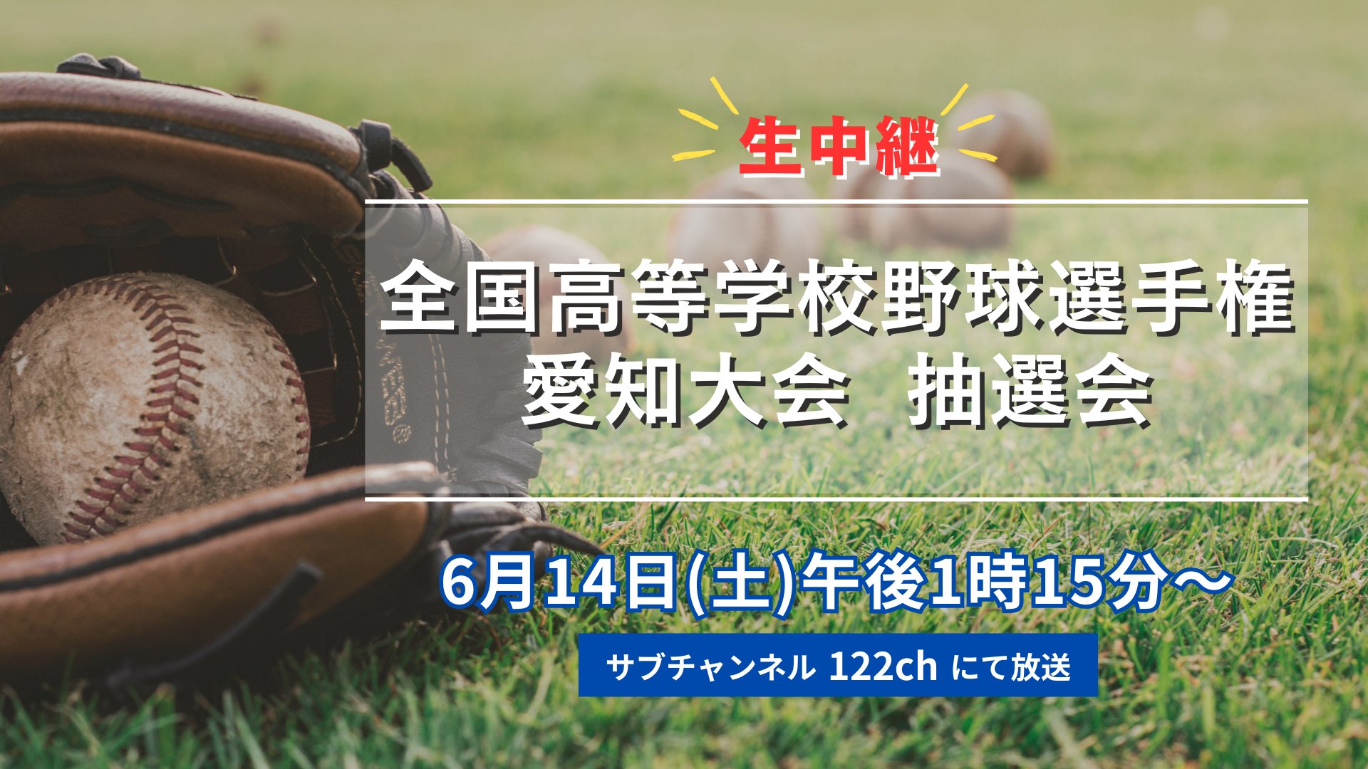高校野球   あいすずさん専用 愛工大名電高校野球部激戦区・愛知の衝撃 (高校野球名門校
