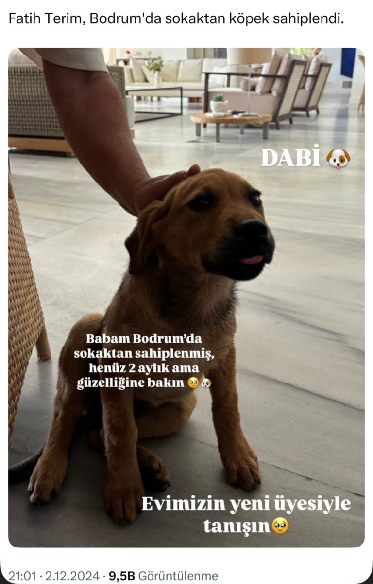 Bahadır tweet media