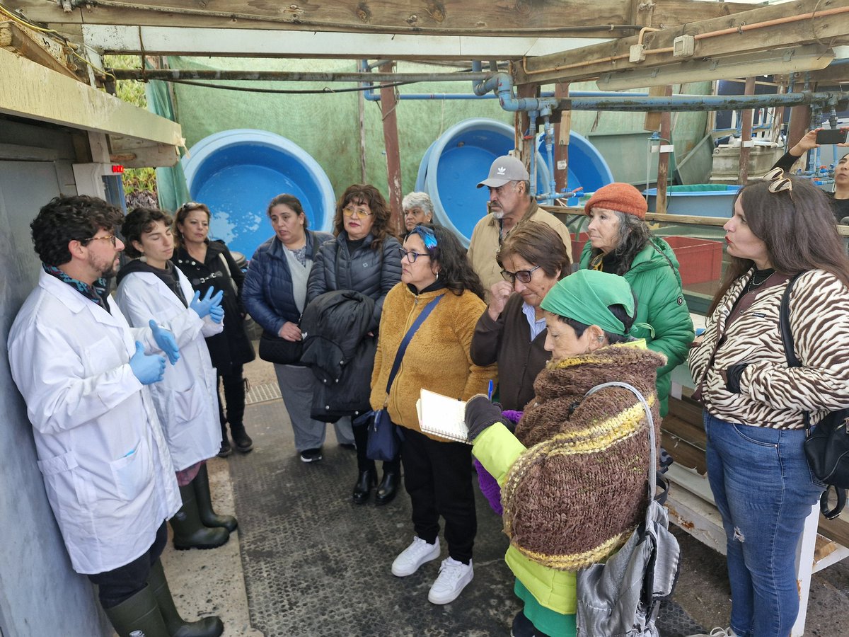 Última visita de la Gira tecnológica del PDT #AlgasAtacama <a href="/CorfoAtacama/">Corfo Atacama</a> a la Estación Costera de Investigaciones Marinas en #LasCruces. Tremenda jornada de aprendizaje en torno a las algas, los cultivos 🪸🌿 y un futuro sostenible.