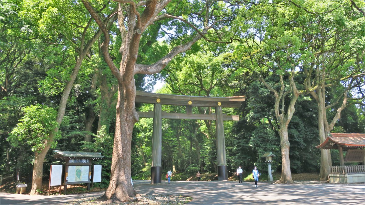 Tokyonobo's tweet photo. Shrines are for Shinto and temples are for Buddhism. Japan's indigenous religion Shinto is originating from the nonliterate Jomon period. So, it has no founder and no scripture. A shrine always has a torii gate, but a temple does not. This is the simplest visual difference. https://t.co/gXW2NWNcUi