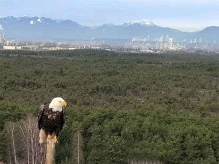 Vancouver Landfill Celebrates Innovative Designs to Capture GHG scsengineers.com/vancouver-land…