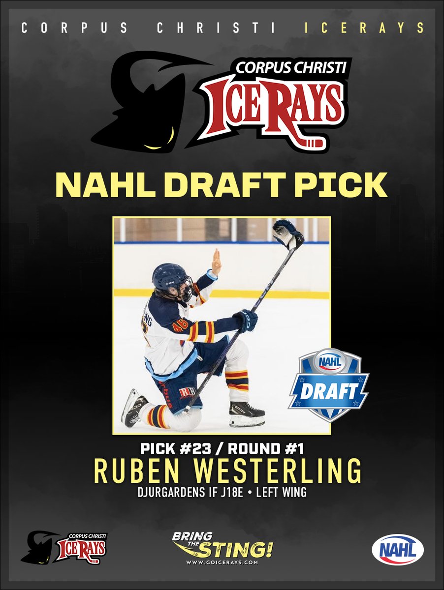 Corpus Christi IceRays (@iceraysnahl) on Twitter photo 