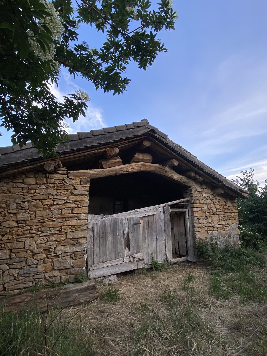 Yannis Ritsos ❤️
“A mí no me preguntan qué pienso ni qué veo; con qué miedos,
qué injusticias, qué envidias forcejeo;
o si me duele un diente o la cabeza, como si no tuviera
yo ni dientes ni cabeza, sólo piedras, sólo aire. ¿Por qué me miras así?
Pon la tranca en la valla."