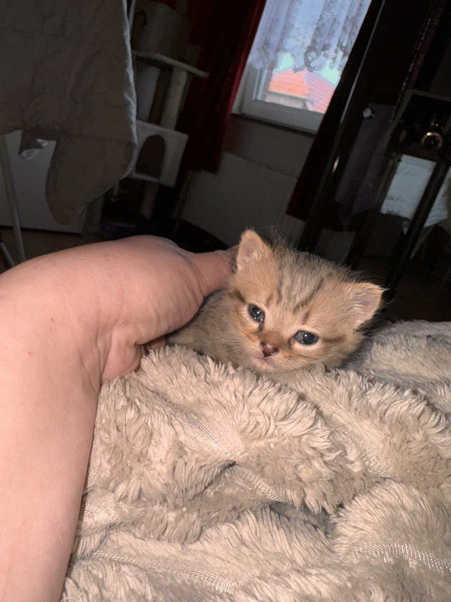 WildMarischia's tweet photo. 🥰 https://t.co/xxncm2HBvO