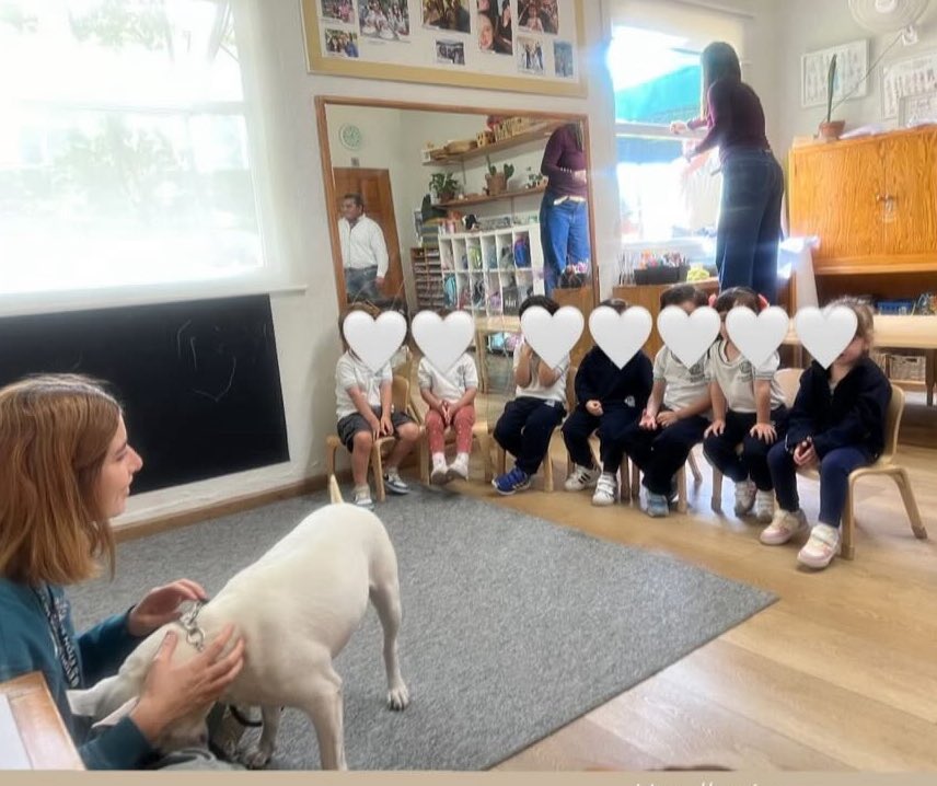 Hoy me invitaron a explicarles a chiquitxs de 3 años la importancia de adoptar perris en lugar de comprarles

Y de quererles y cuidarles

Y fui la más feliz 🥹🤍