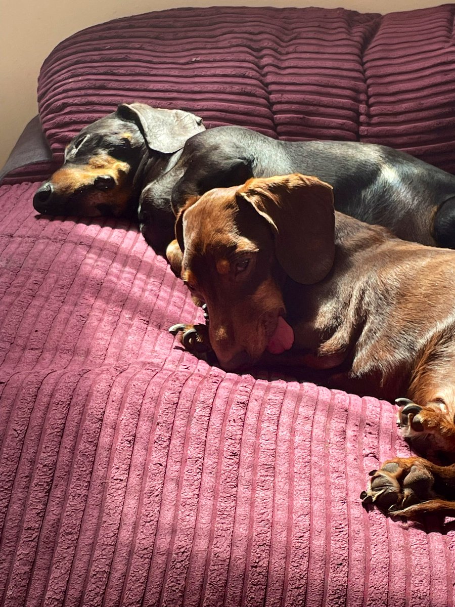 Sun puddles 💙