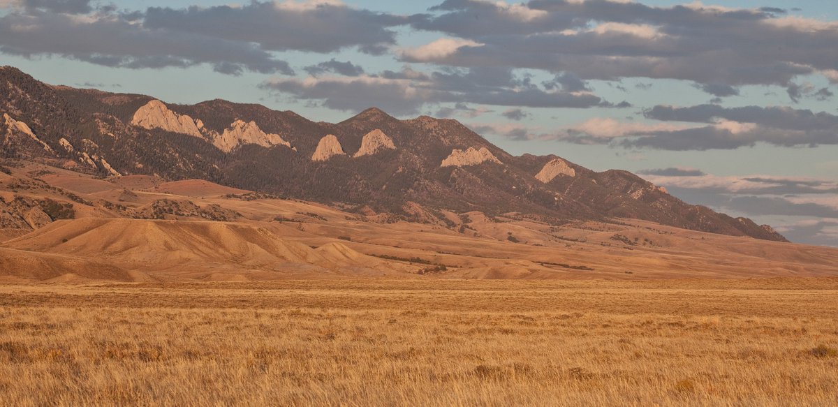 This weekend at the National Historic Trails Interpretive Center

📅 June 14
🐻  11 am - Preschool Music - Bears (Jr. Ranger Program)
⛰️  1 &amp; 3 pm - Public Lands Heritage Film: The Ferris Mountains
