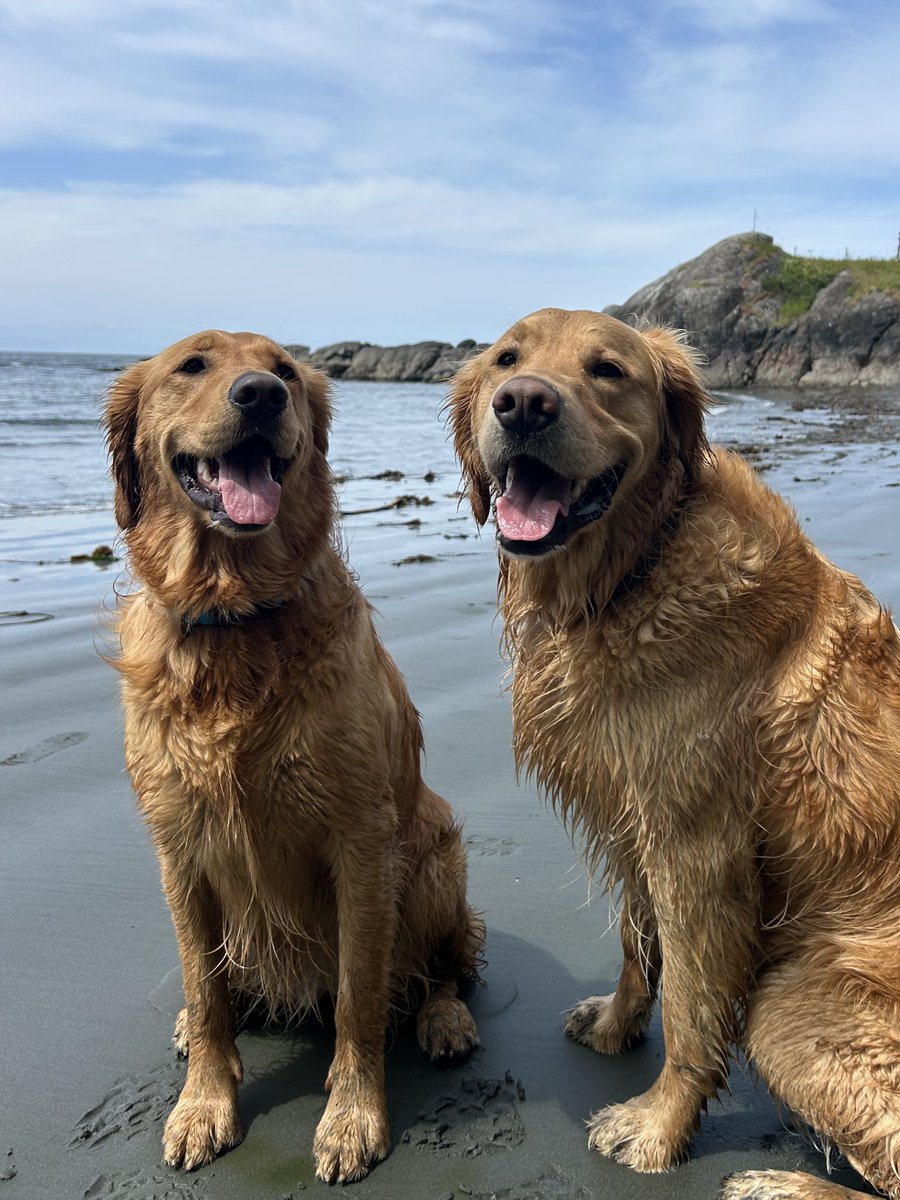 Afternoon from Flea beach!🐶🐶