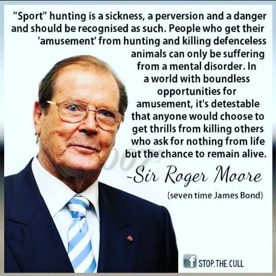 Roger Wilson (@rogerwilliamms) on Twitter photo 