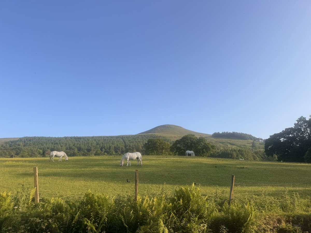 Philip Bentham tweet media