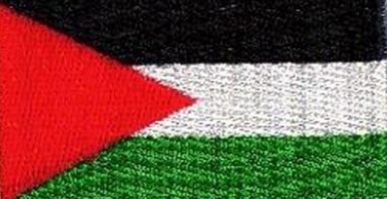 KFarid10's tweet photo. Le gouvernement égyptien est en panique du fait du convoi #AlSumud. 
@RimaHas a fait du bon boulot.
La population d'Egypte joue son Honneur.

#FreePalestine https://t.co/8LXvbg5LGN