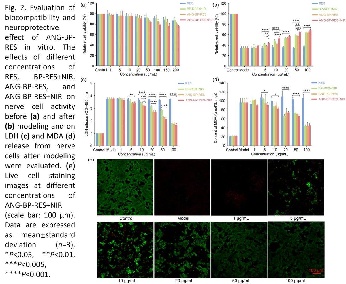 Bio-Design and Manufacturing (@biodesignmanuf) on Twitter photo Polypeptide-modified black phosphorus nanosheets as a brain-targeted neuroprotective agent for treating ischemic stroke
Learn more: doi.org/10.1631/bdm.24…
<a href="/ShiheziUniversi/">ShiheziUniversity</a> <a href="/ShiheziUniv/">Shihezi University</a> <a href="/ShenzhenUni/">Shenzhen University</a> Polypeptide-modified black phosphorus nanosheets as a brain-targeted neuroprotective agent for treating ischemic stroke
Learn more: doi.org/10.1631/bdm.24…
<a href="/ShiheziUniversi/">ShiheziUniversity</a> <a href="/ShiheziUniv/">Shihezi University</a> <a href="/ShenzhenUni/">Shenzhen University</a>