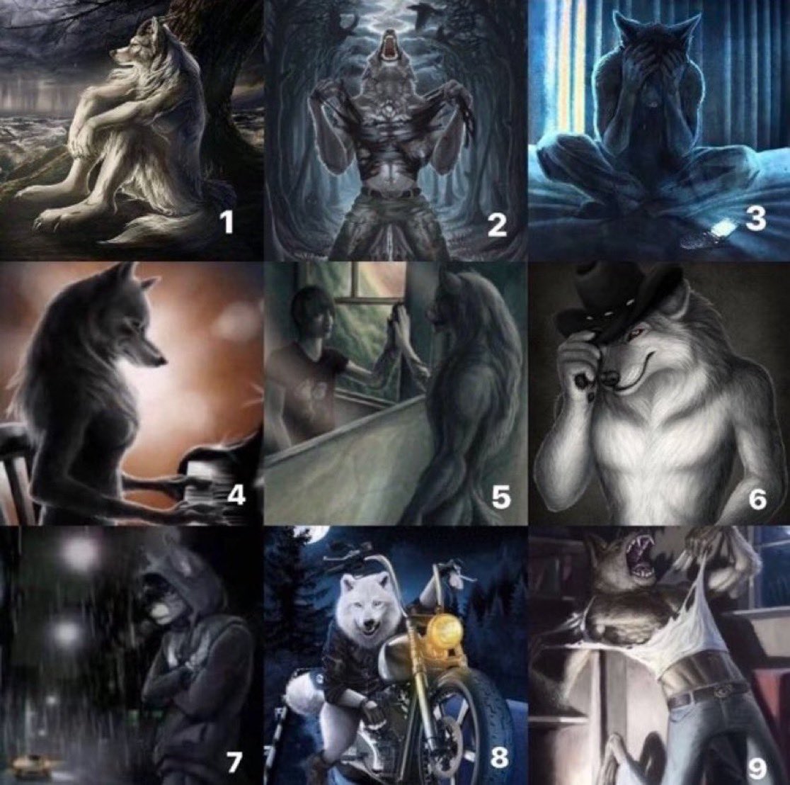 !=te dou um lobo de acordo com seu perfil