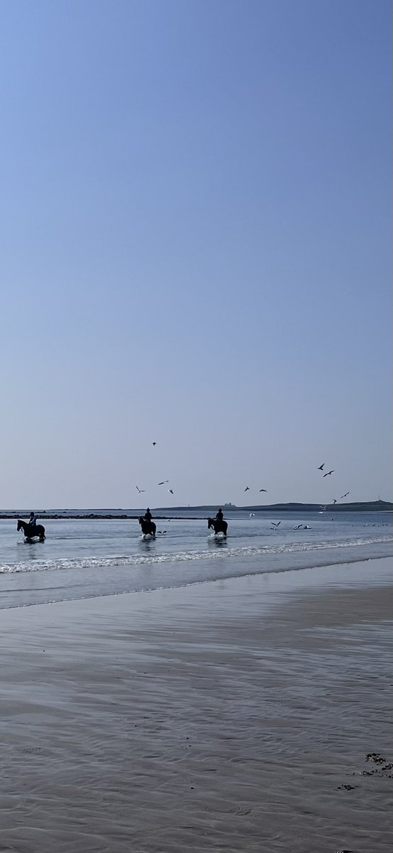 Northumberland on a beautiful sunny morning #Northumberland