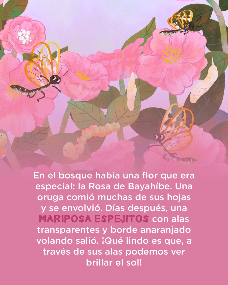 ¡Acompáñanos a descubrir nuestro #AnimalEspecial del mes, Mariposa Espjitos! 🦋

➡️ Desliza para conocer más.

#LetraNatural #CalendarioDigital #FundaciónPropagas