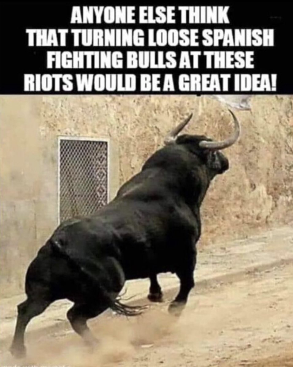 What would you
pay per view  to 
see these Spanish Fighting 
Bulls battle the L.A. Rioters ?
         😂😂😂