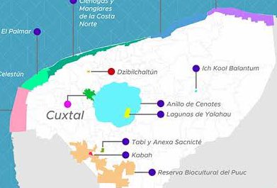 lagarto de petén ☭ (@xamancaan) on Twitter photo ¿Una cervecera entre la Reserva Cuxtal y la Reserva Geohidrologica Anillo de Cenotes? ¿Que puede salir mal aparte de pasar una vez más sobre los derechos colectivos de los pueblos mayas? <a href="/GobiernoMX/">Gobierno de México</a> ¿Una cervecera entre la Reserva Cuxtal y la Reserva Geohidrologica Anillo de Cenotes? ¿Que puede salir mal aparte de pasar una vez más sobre los derechos colectivos de los pueblos mayas? <a href="/GobiernoMX/">Gobierno de México</a>