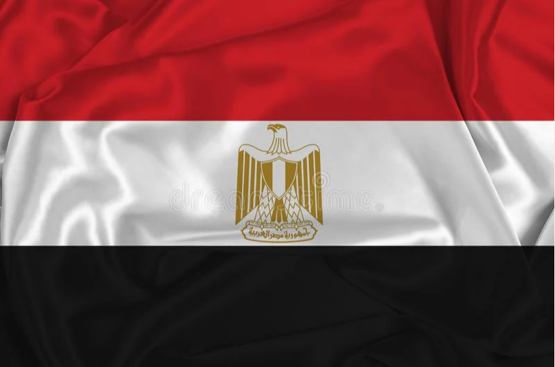 KFarid10's tweet photo. Le gouvernement égyptien est en panique du fait du convoi #AlSumud. 
@RimaHas a fait du bon boulot.
La population d'Egypte joue son Honneur.

#FreePalestine https://t.co/8LXvbg5LGN