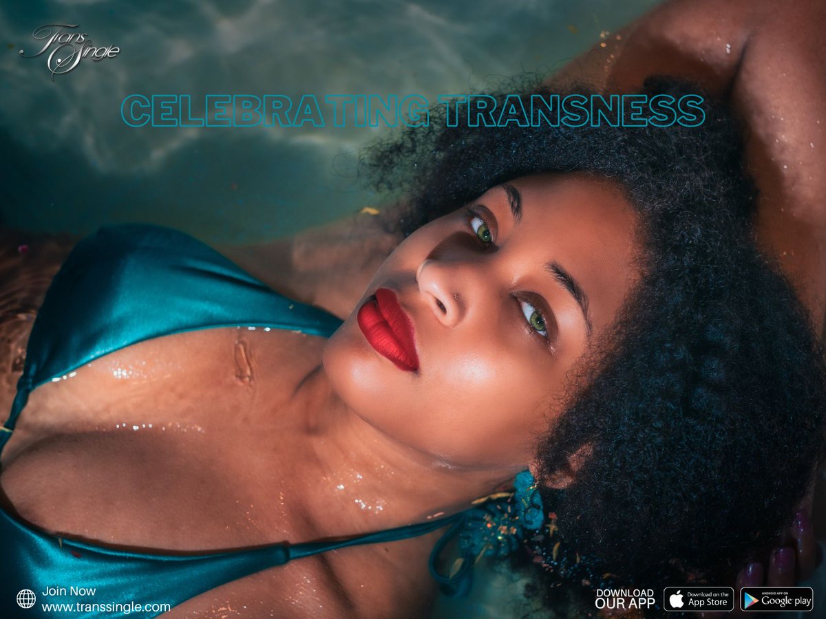 TransSingle tweet media